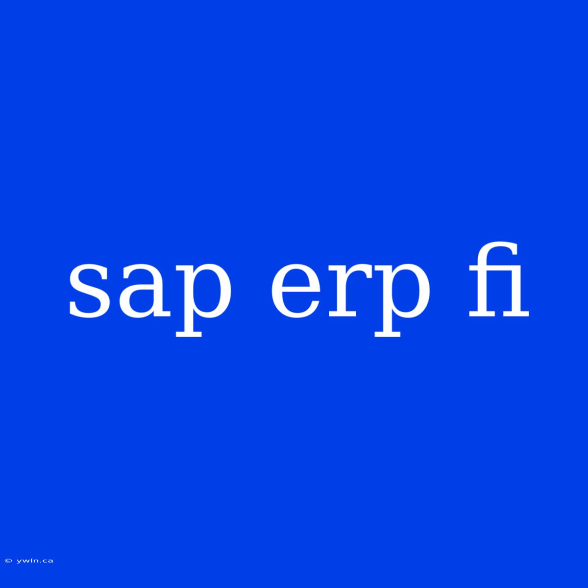 Sap Erp Fi