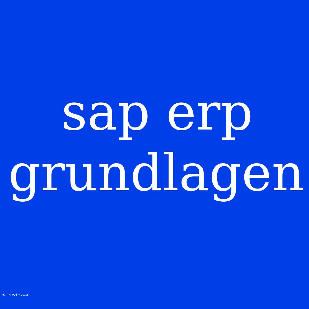 Sap Erp Grundlagen