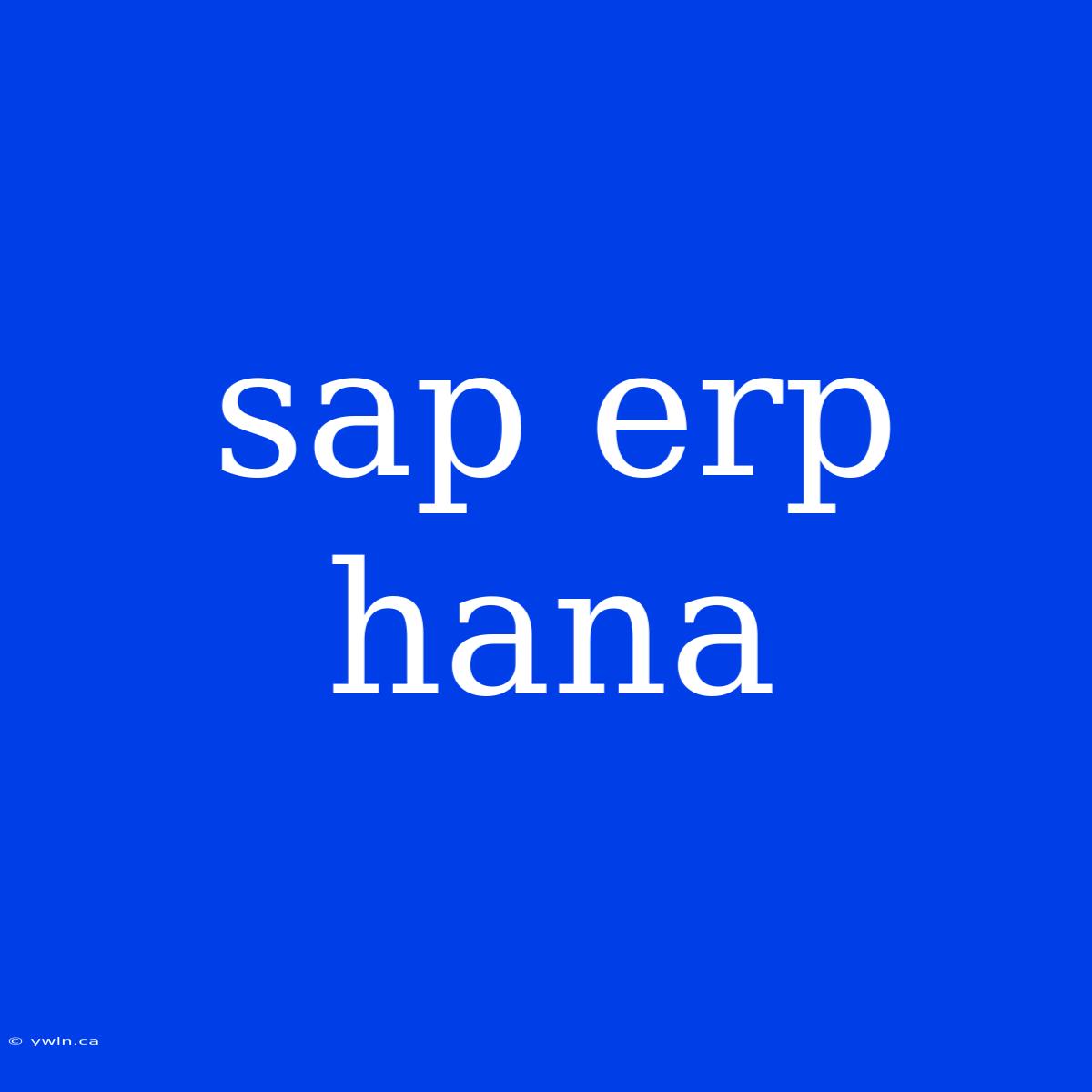 Sap Erp Hana