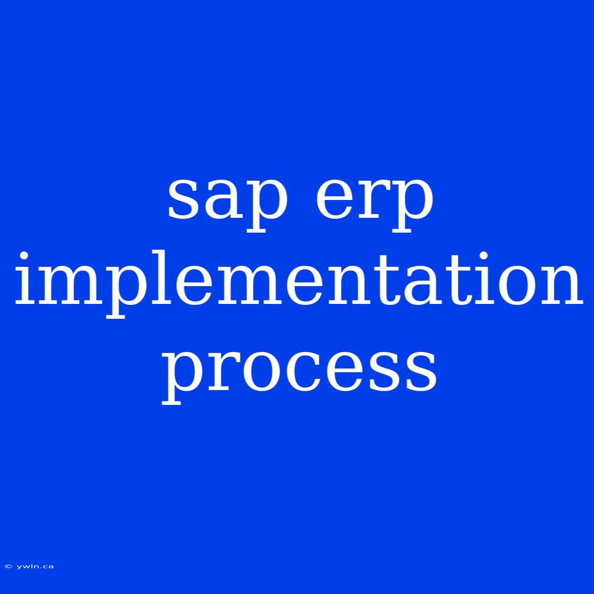 Sap Erp Implementation Process