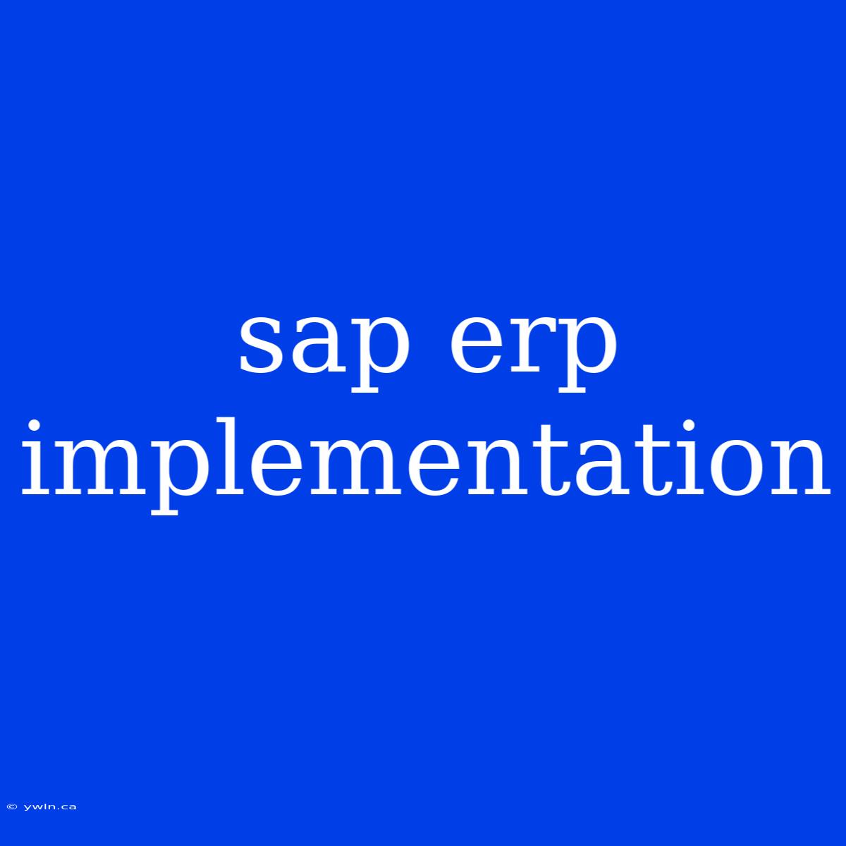 Sap Erp Implementation