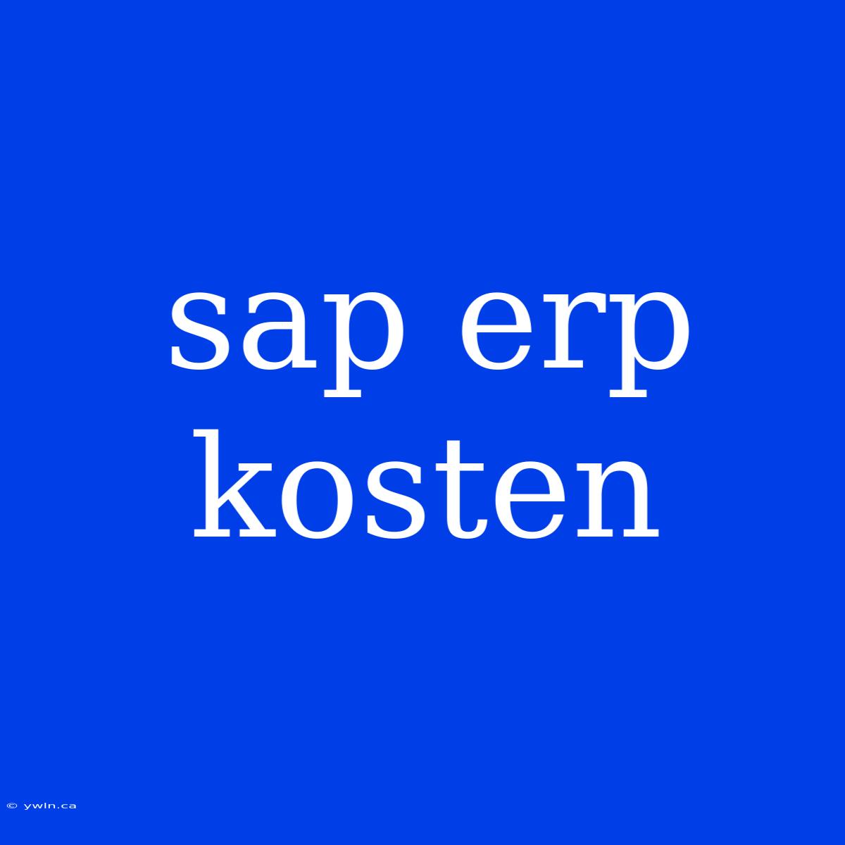 Sap Erp Kosten