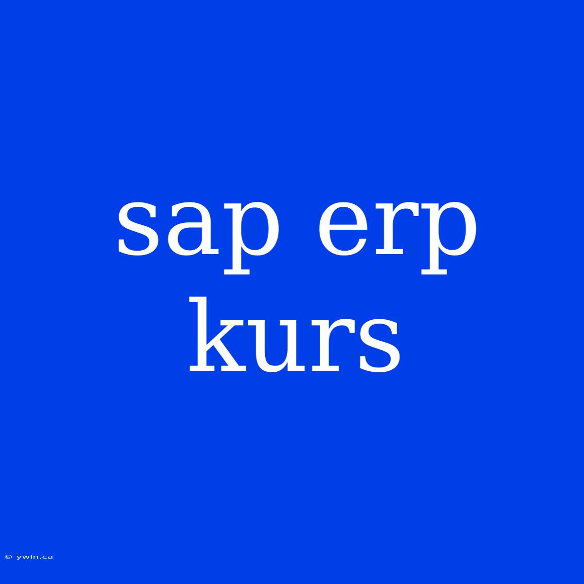 Sap Erp Kurs