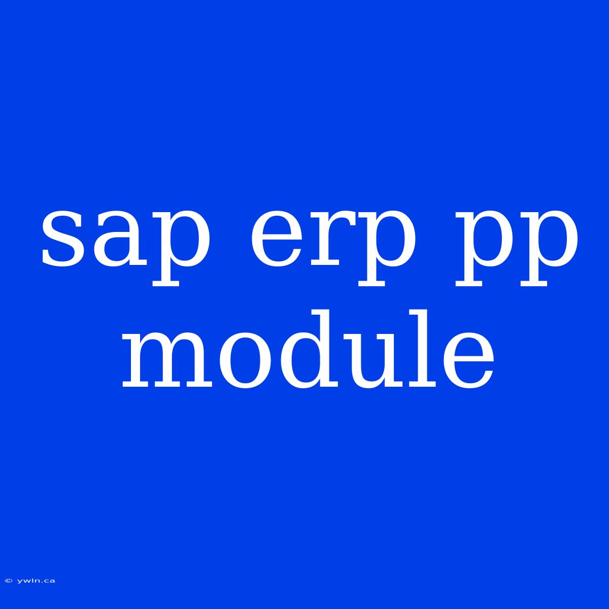 Sap Erp Pp Module