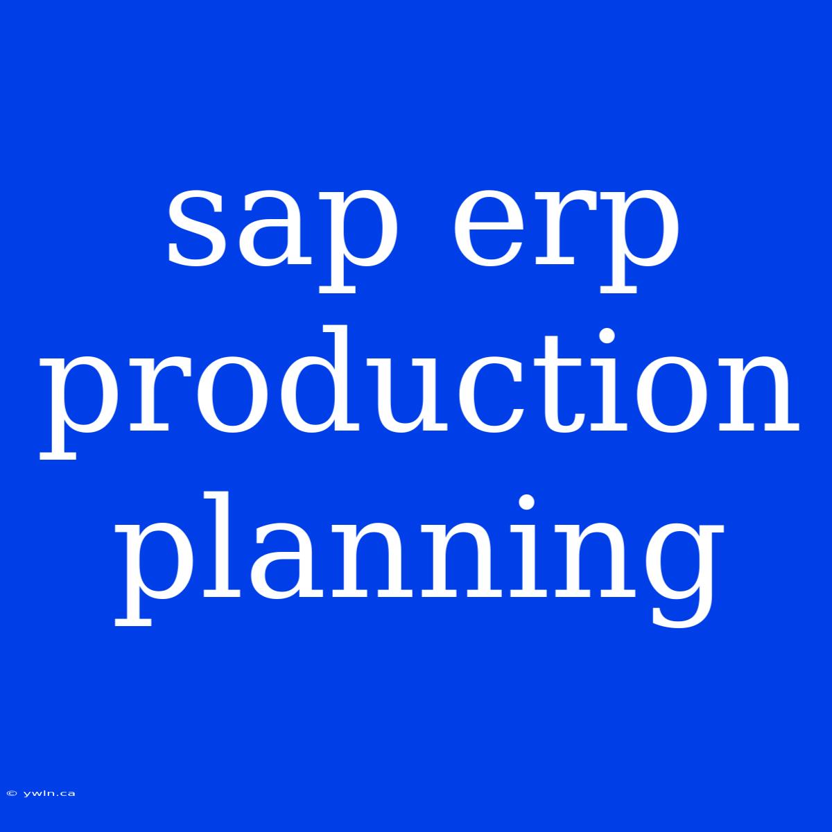 Sap Erp Production Planning