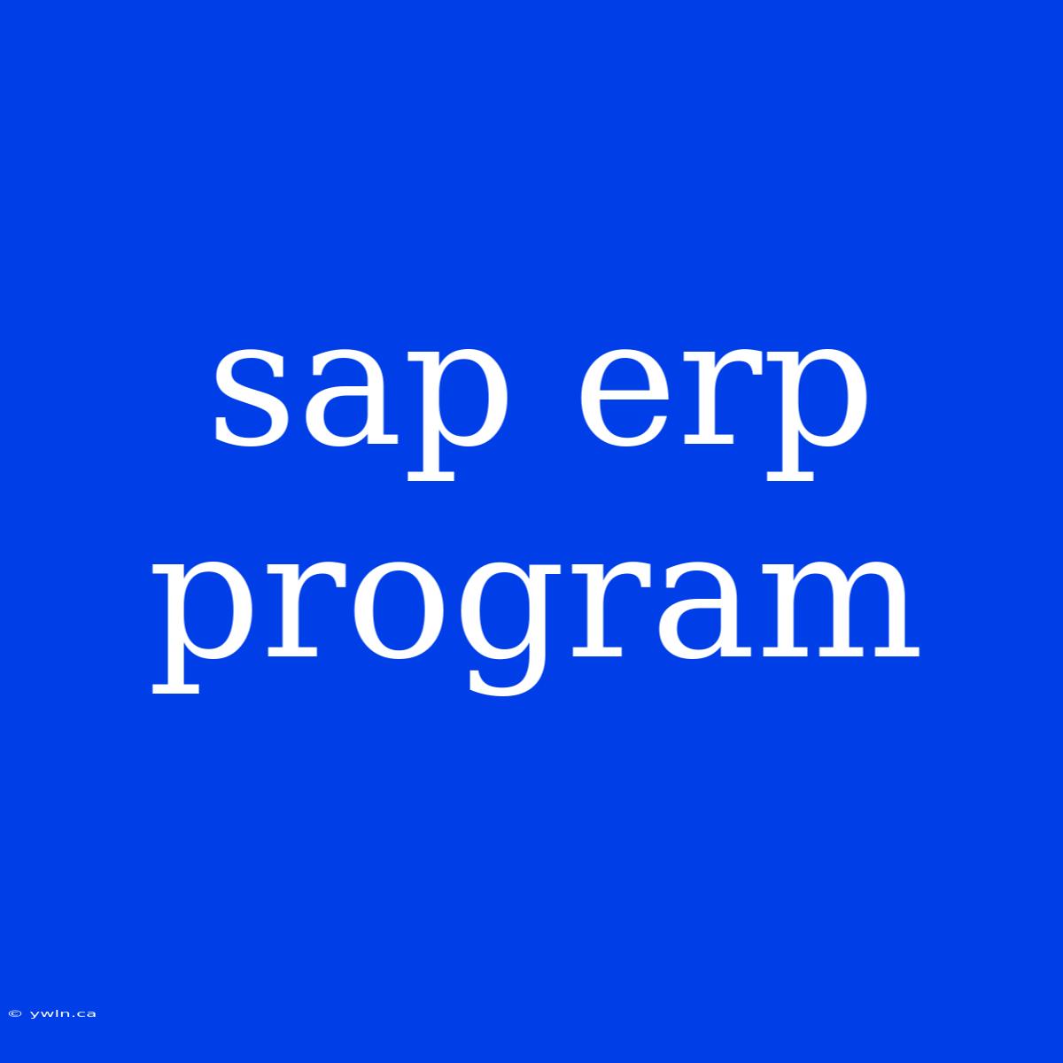 Sap Erp Program