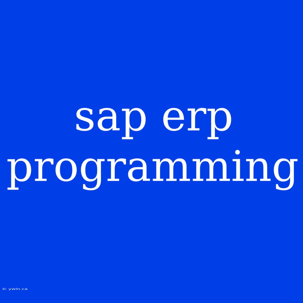 Sap Erp Programming