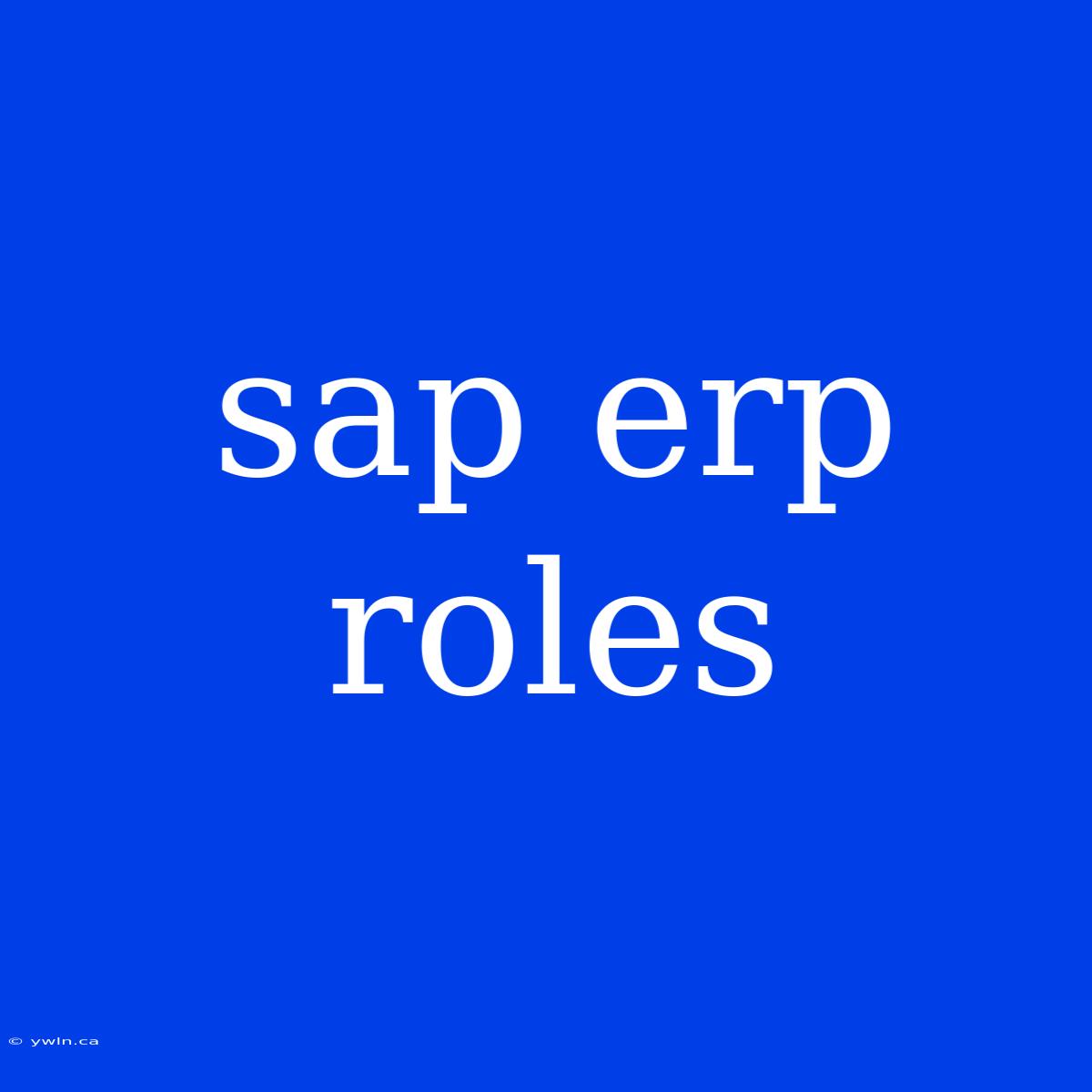 Sap Erp Roles