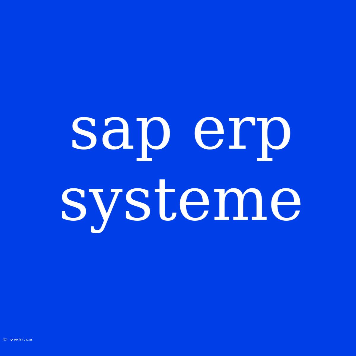 Sap Erp Systeme