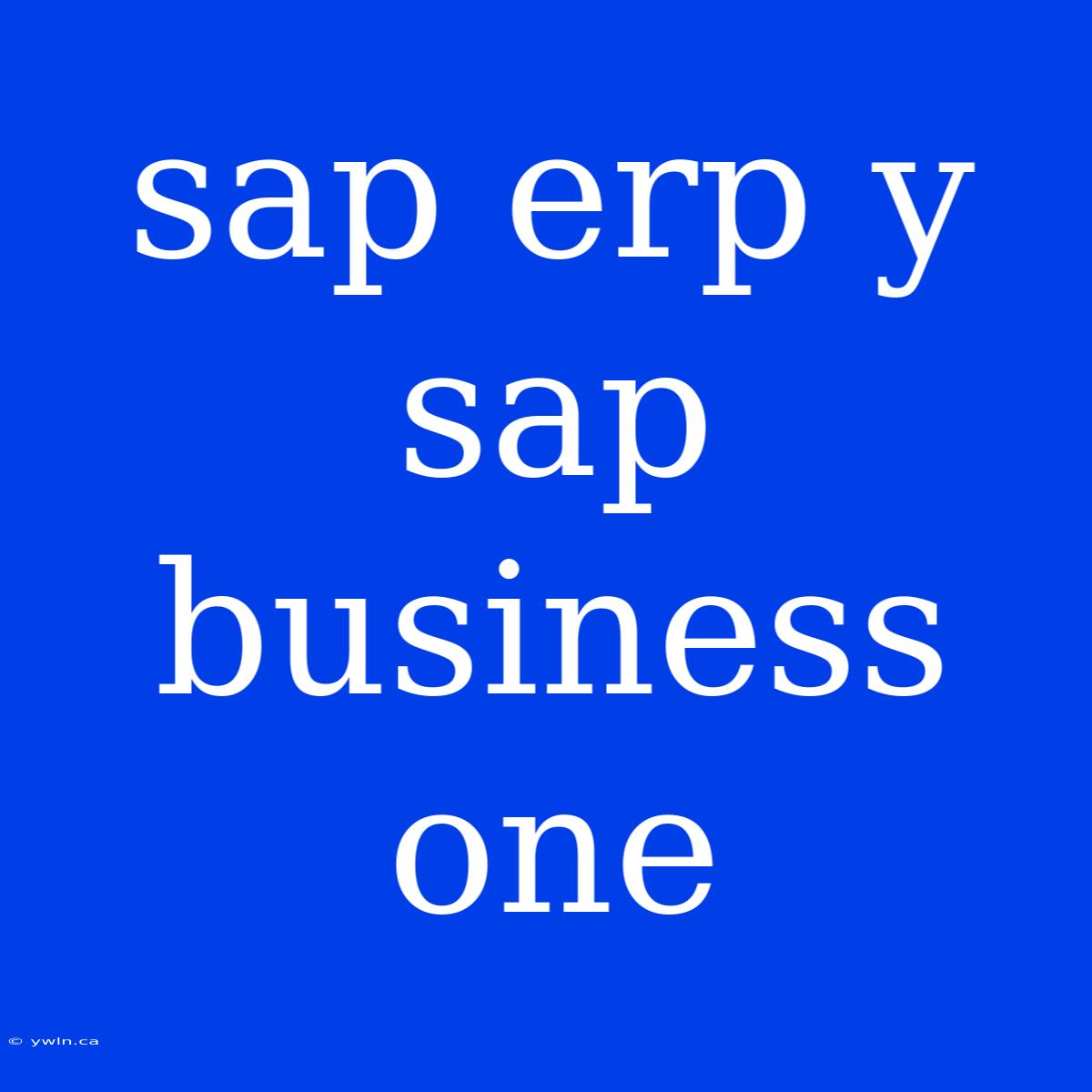 Sap Erp Y Sap Business One