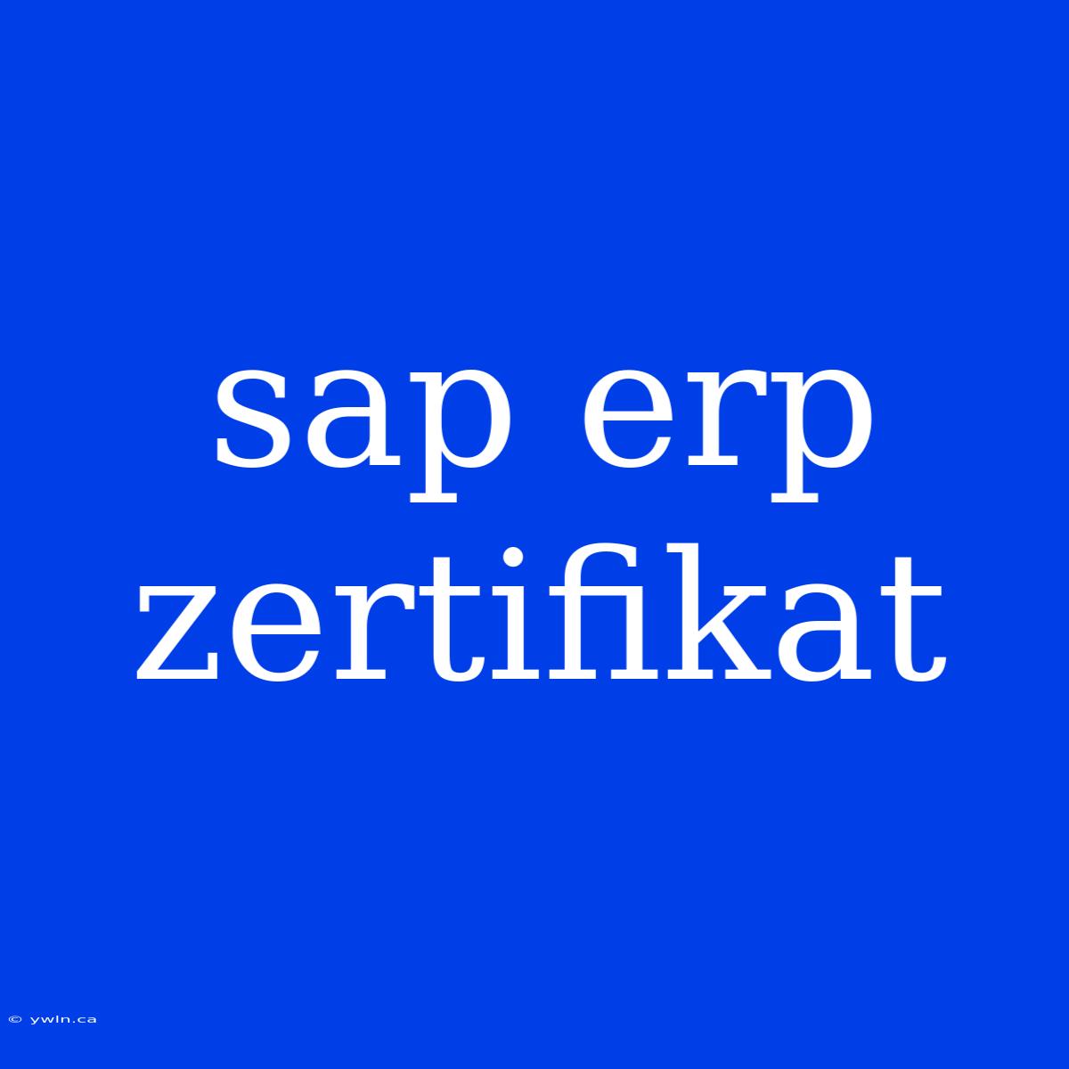 Sap Erp Zertifikat