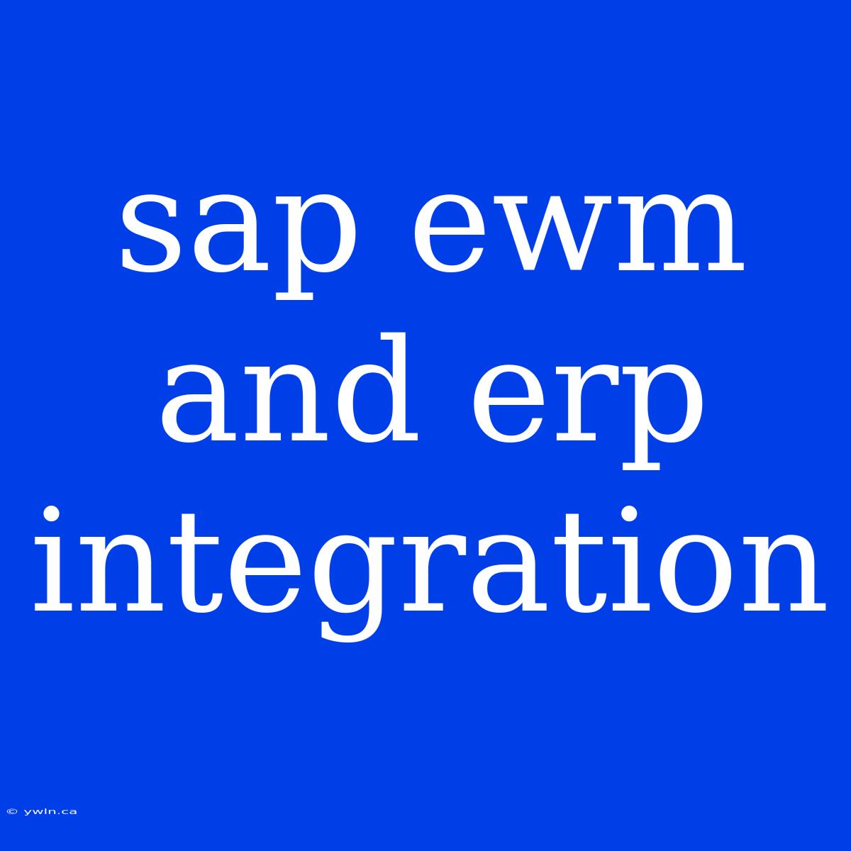 Sap Ewm And Erp Integration