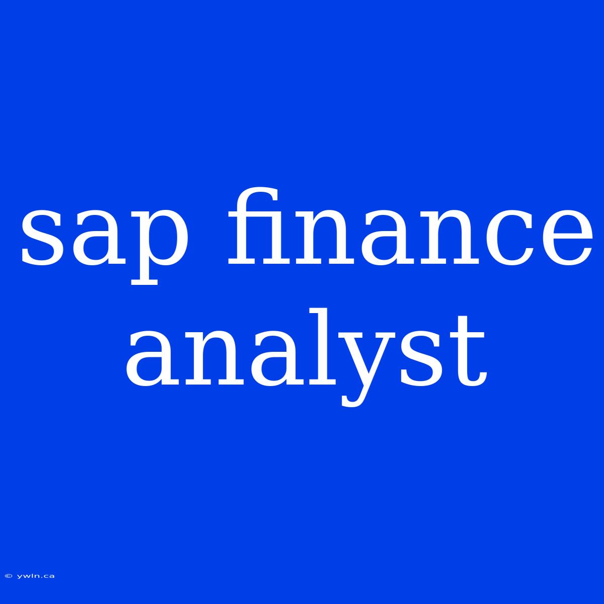 Sap Finance Analyst