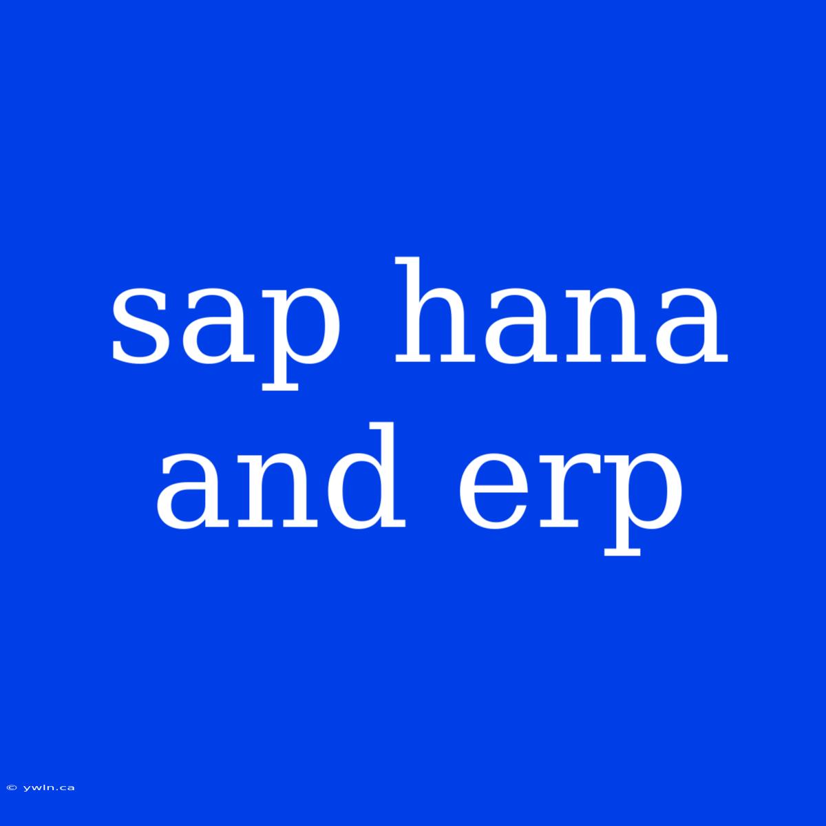 Sap Hana And Erp