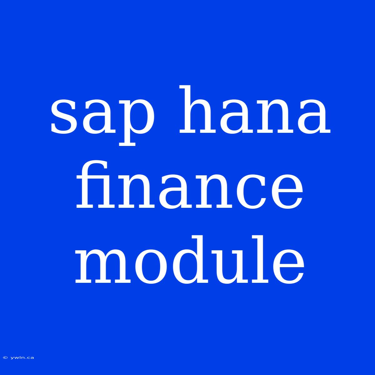 Sap Hana Finance Module