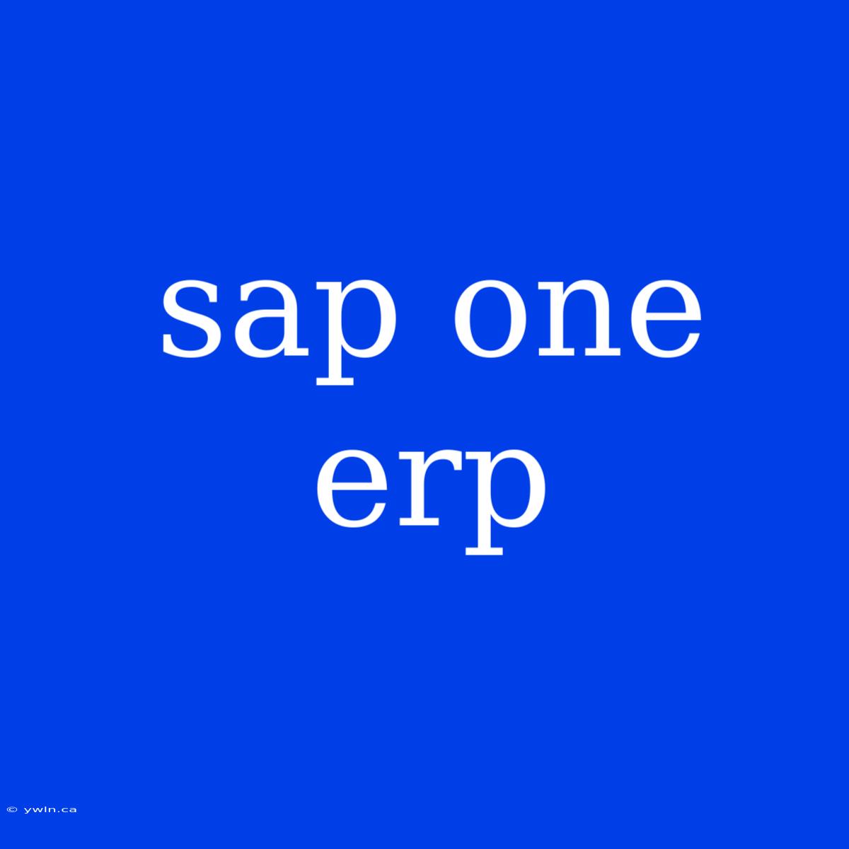 Sap One Erp