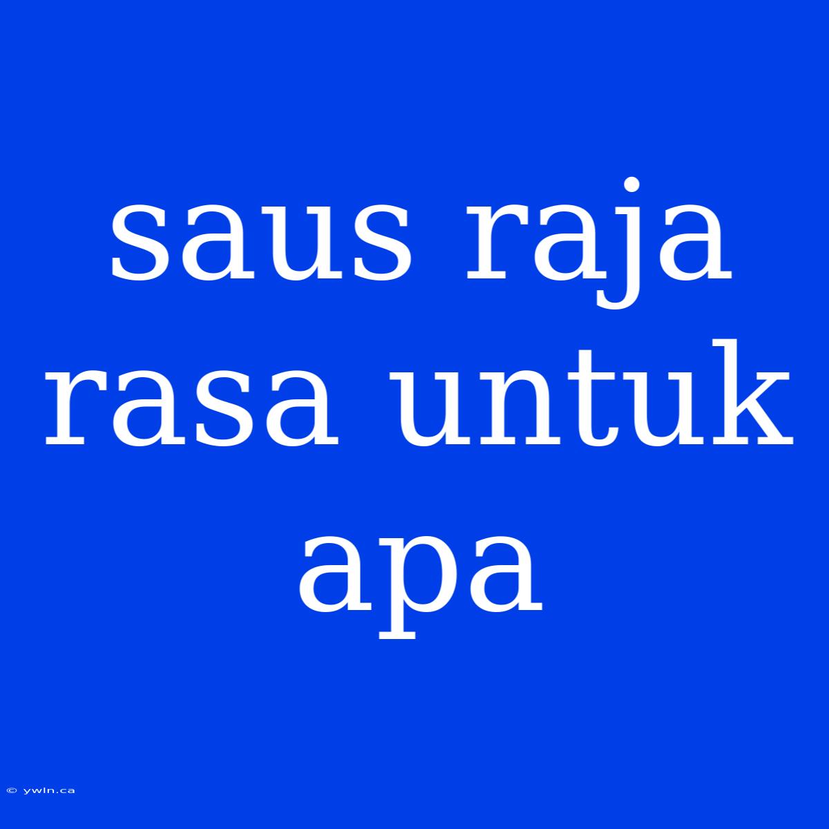 Saus Raja Rasa Untuk Apa