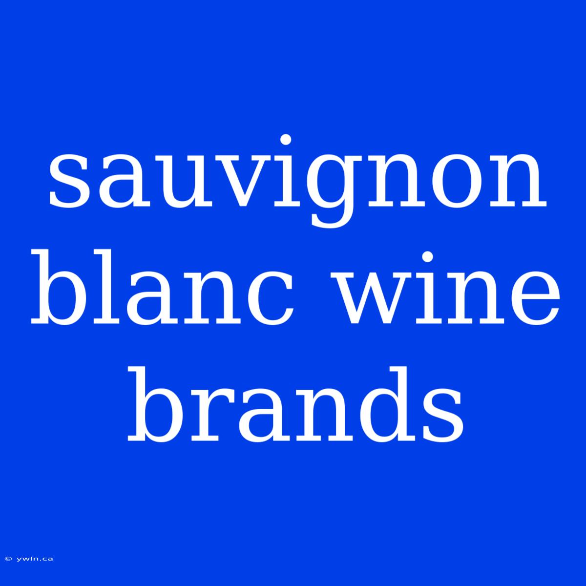 Sauvignon Blanc Wine Brands