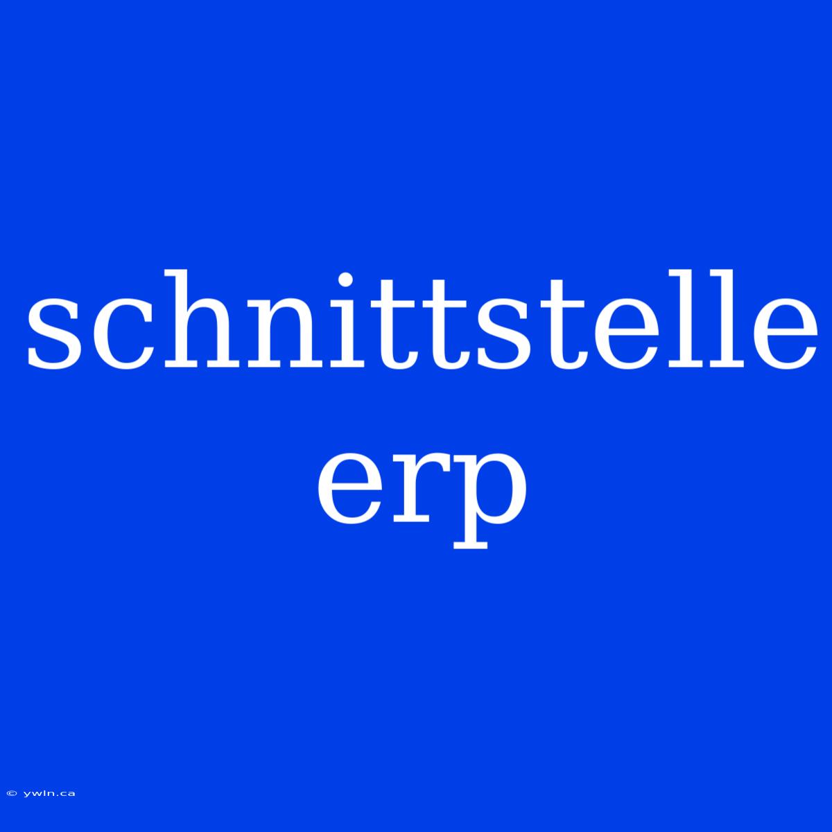 Schnittstelle Erp