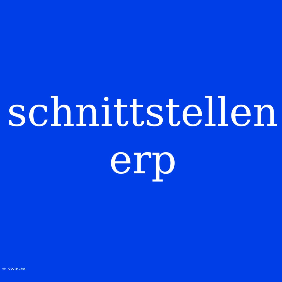 Schnittstellen Erp