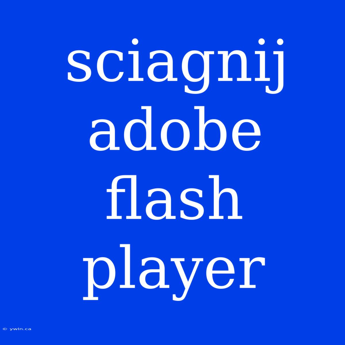 Sciagnij Adobe Flash Player