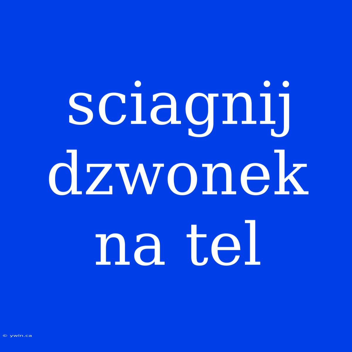 Sciagnij Dzwonek Na Tel