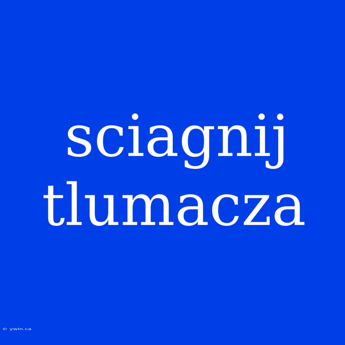 Sciagnij Tlumacza