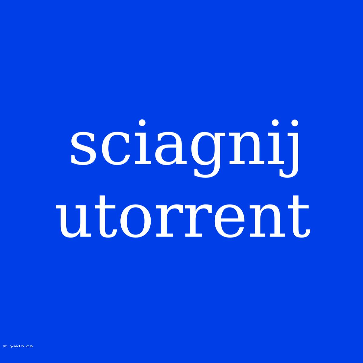 Sciagnij Utorrent