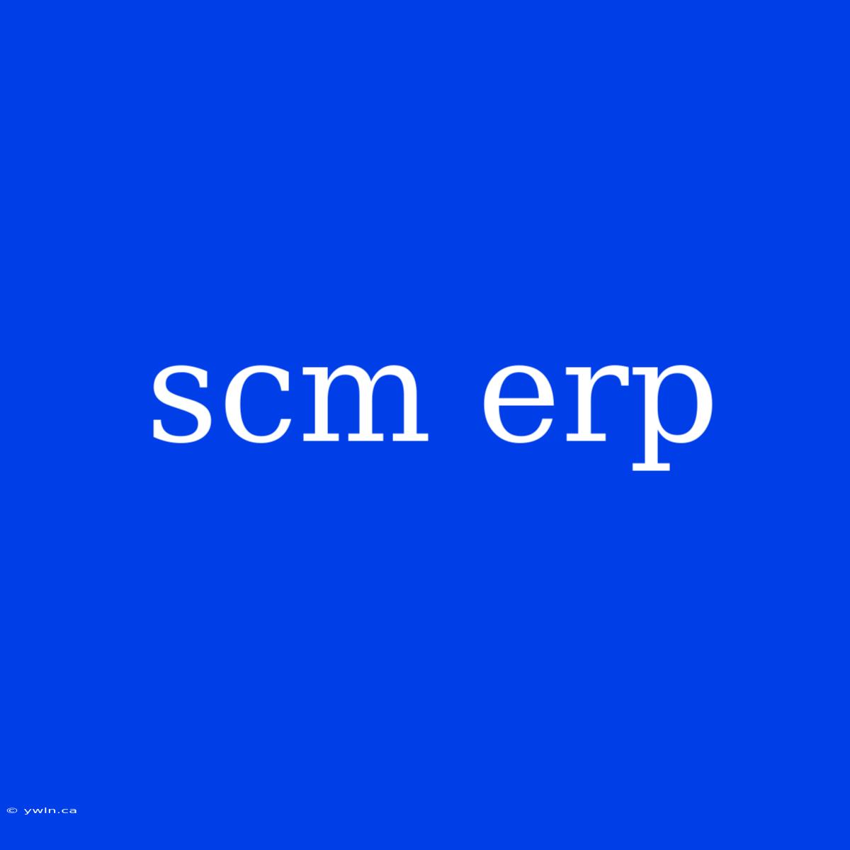 Scm Erp