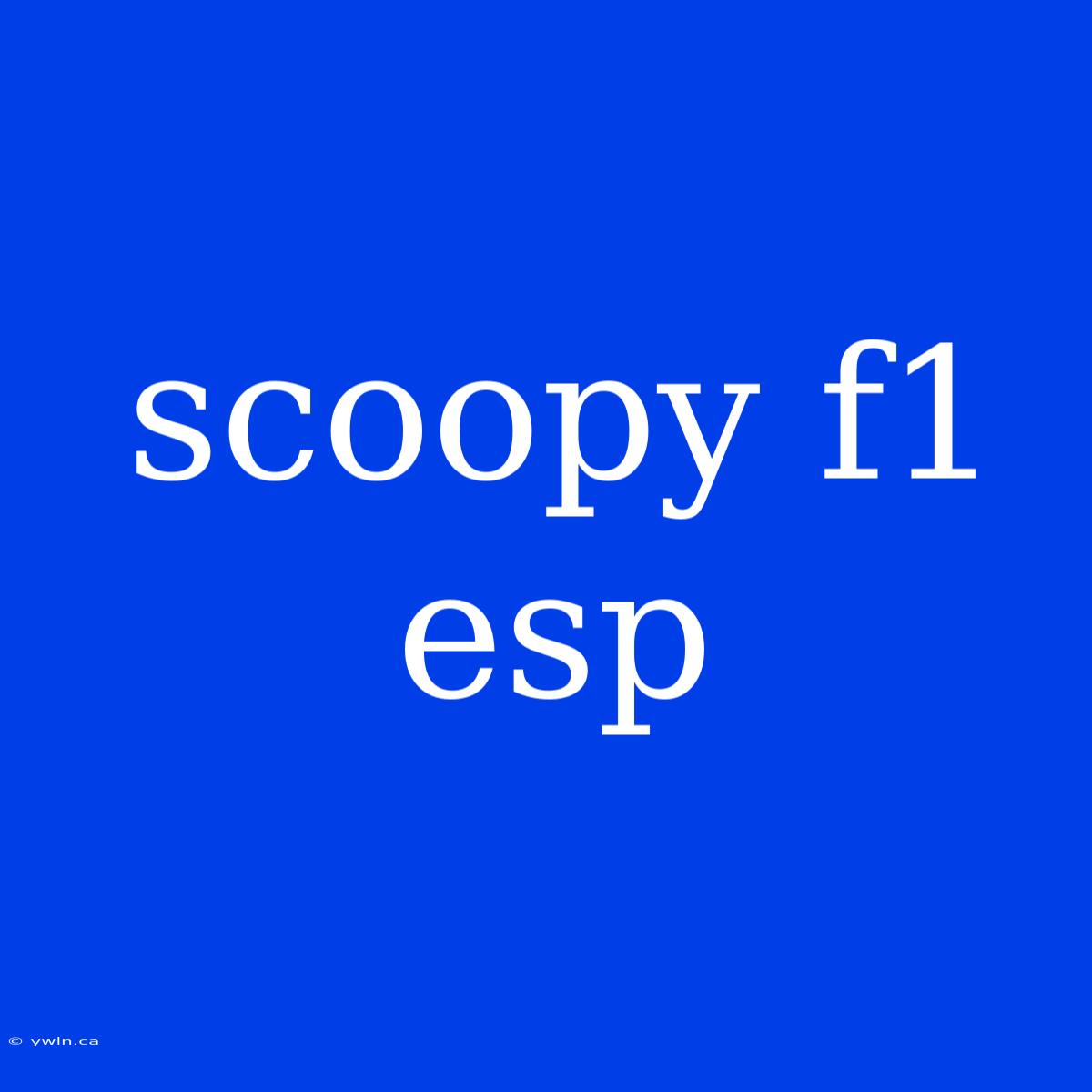 Scoopy F1 Esp