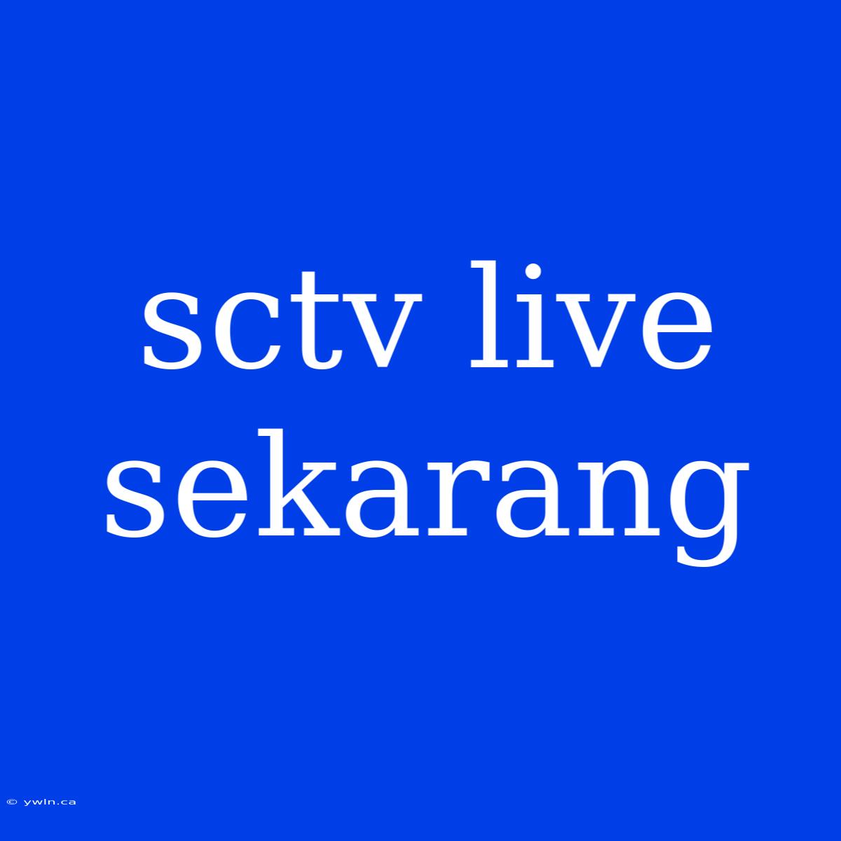 Sctv Live Sekarang