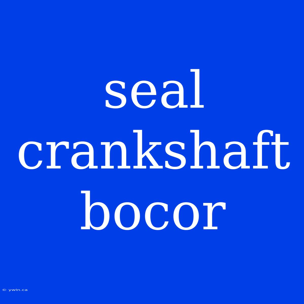 Seal Crankshaft Bocor