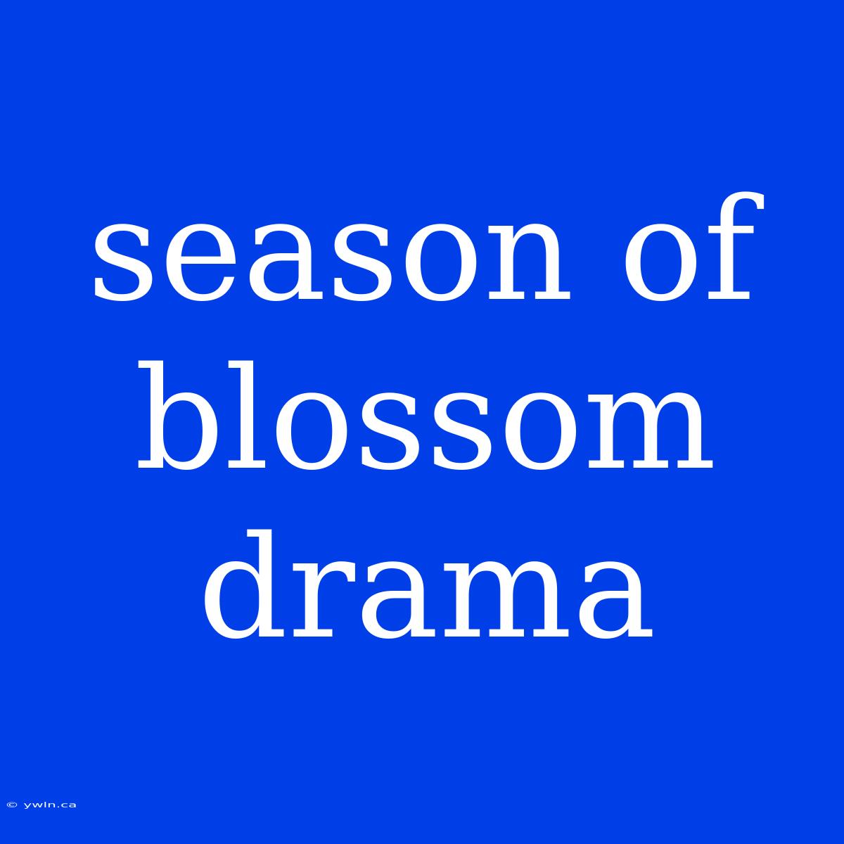 Season Of Blossom Drama