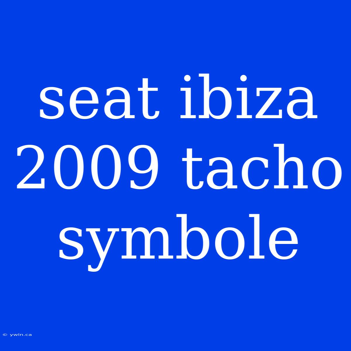 Seat Ibiza 2009 Tacho Symbole