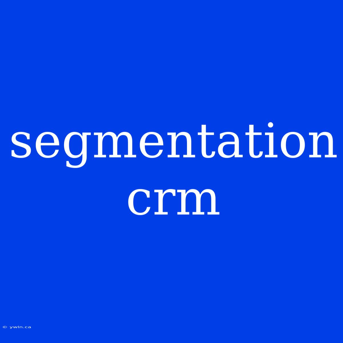 Segmentation Crm