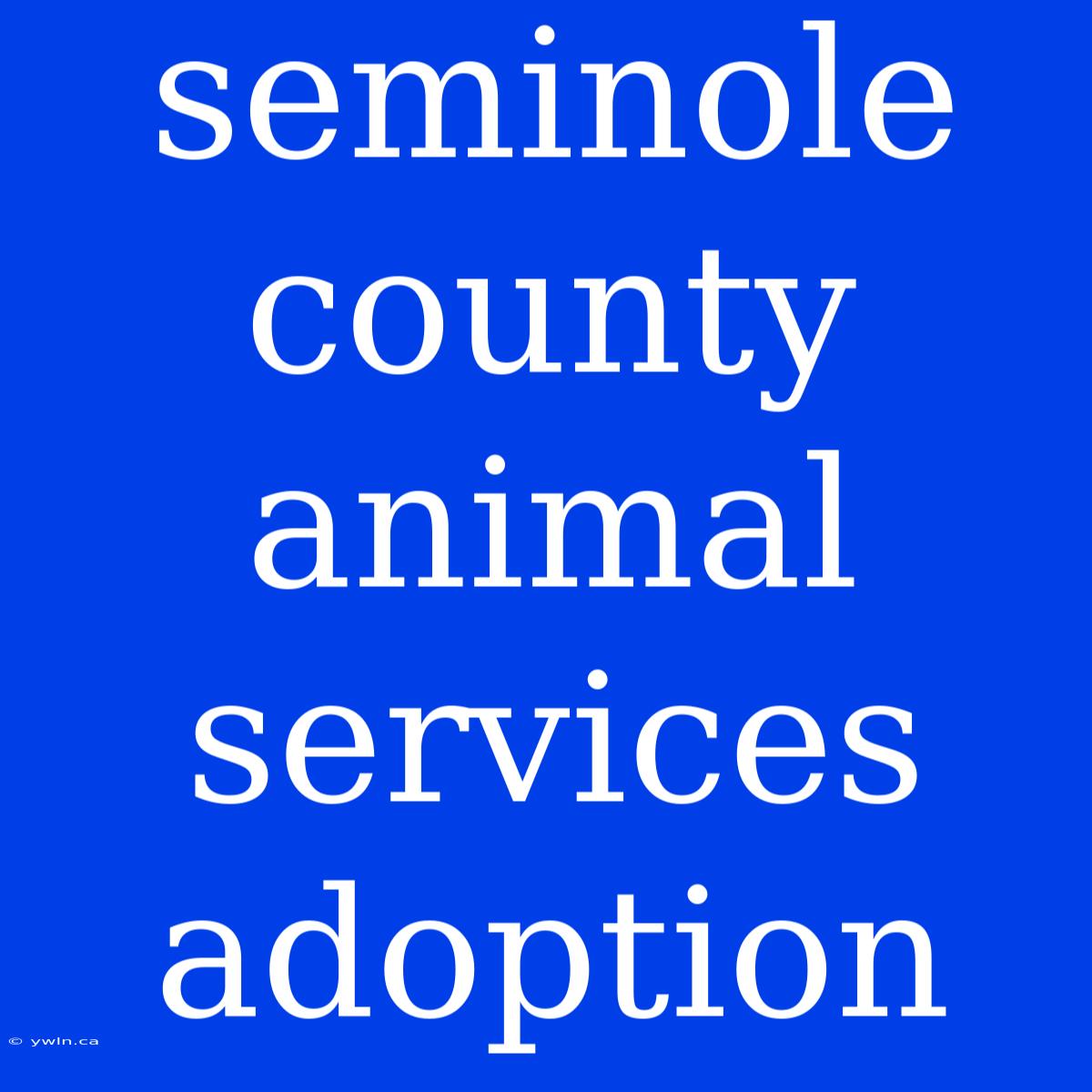 Seminole County Animal Services Adoption