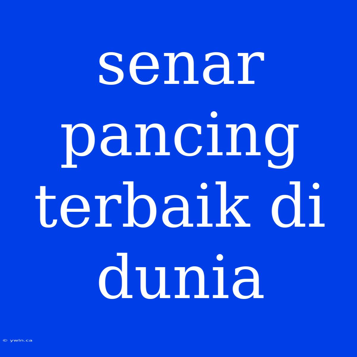 Senar Pancing Terbaik Di Dunia