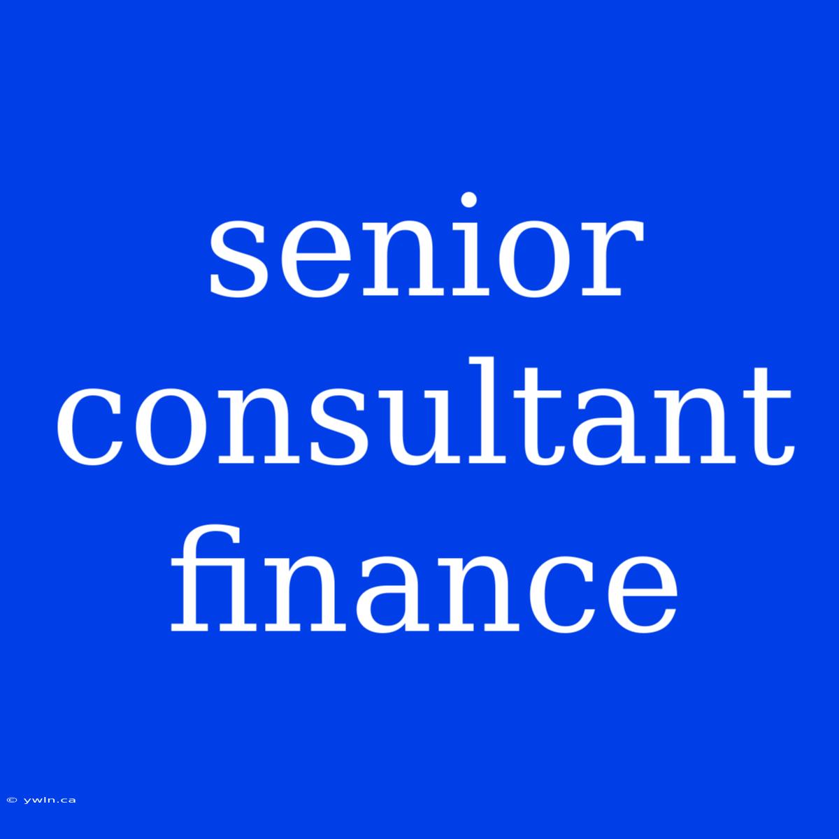 Senior Consultant Finance