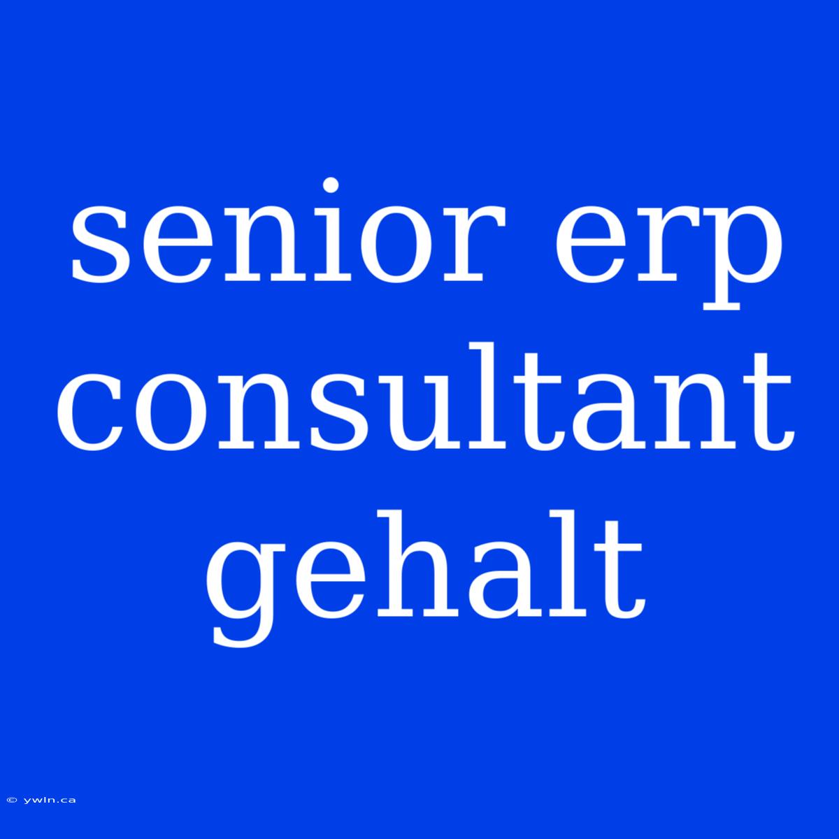 Senior Erp Consultant Gehalt