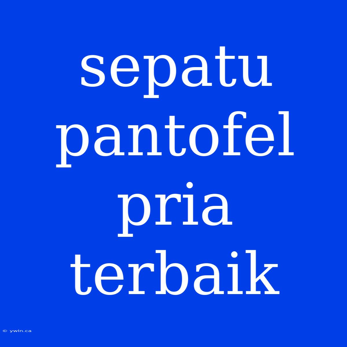 Sepatu Pantofel Pria Terbaik