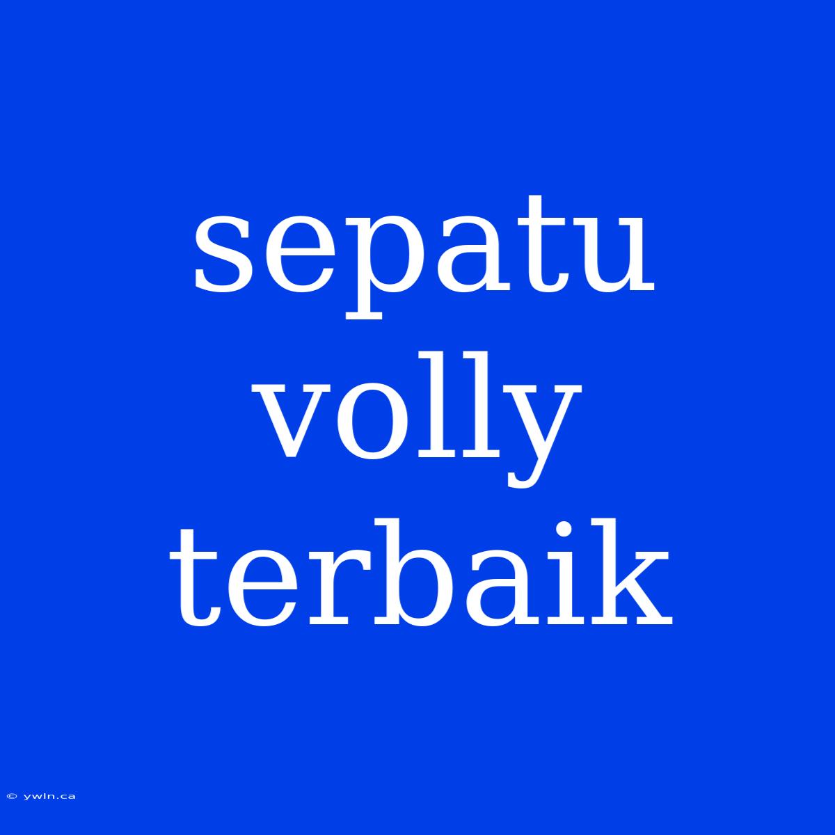 Sepatu Volly Terbaik