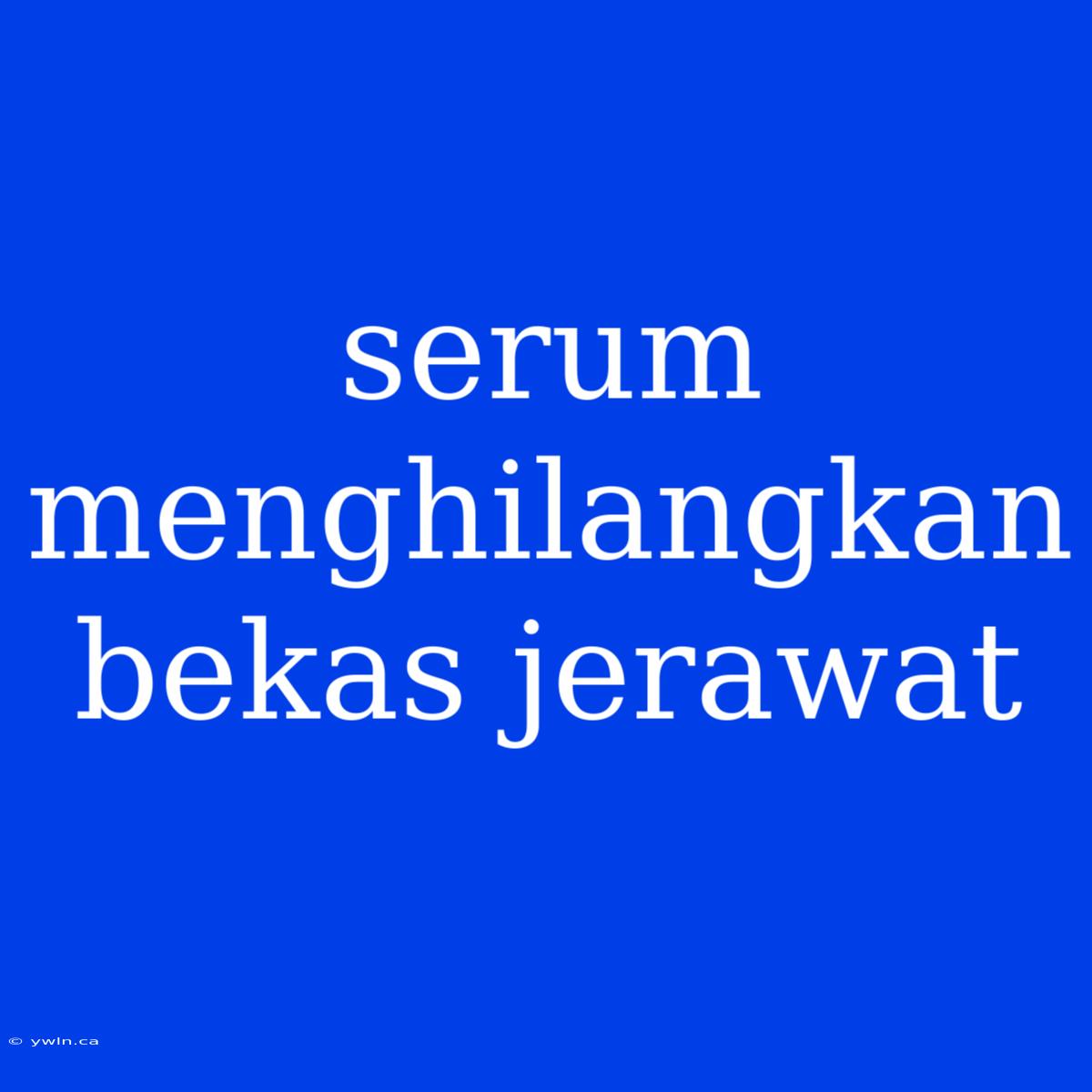 Serum Menghilangkan Bekas Jerawat