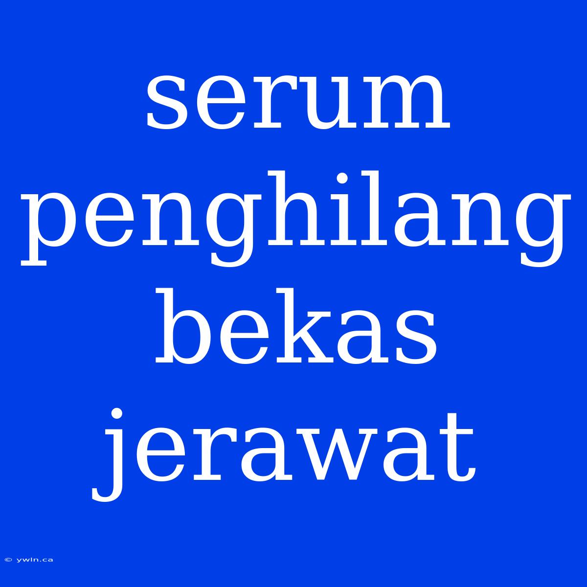 Serum Penghilang Bekas Jerawat