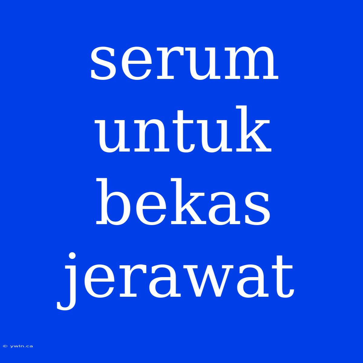 Serum Untuk Bekas Jerawat