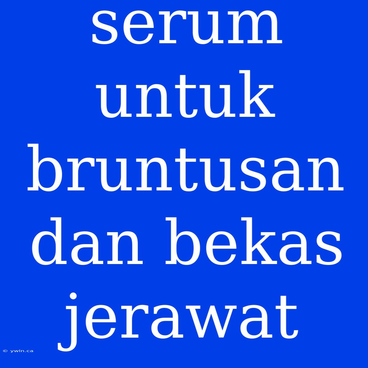 Serum Untuk Bruntusan Dan Bekas Jerawat