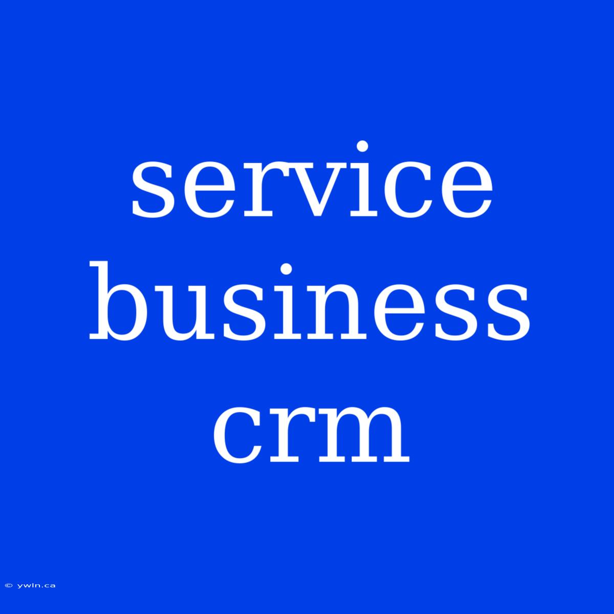 Service Business Crm