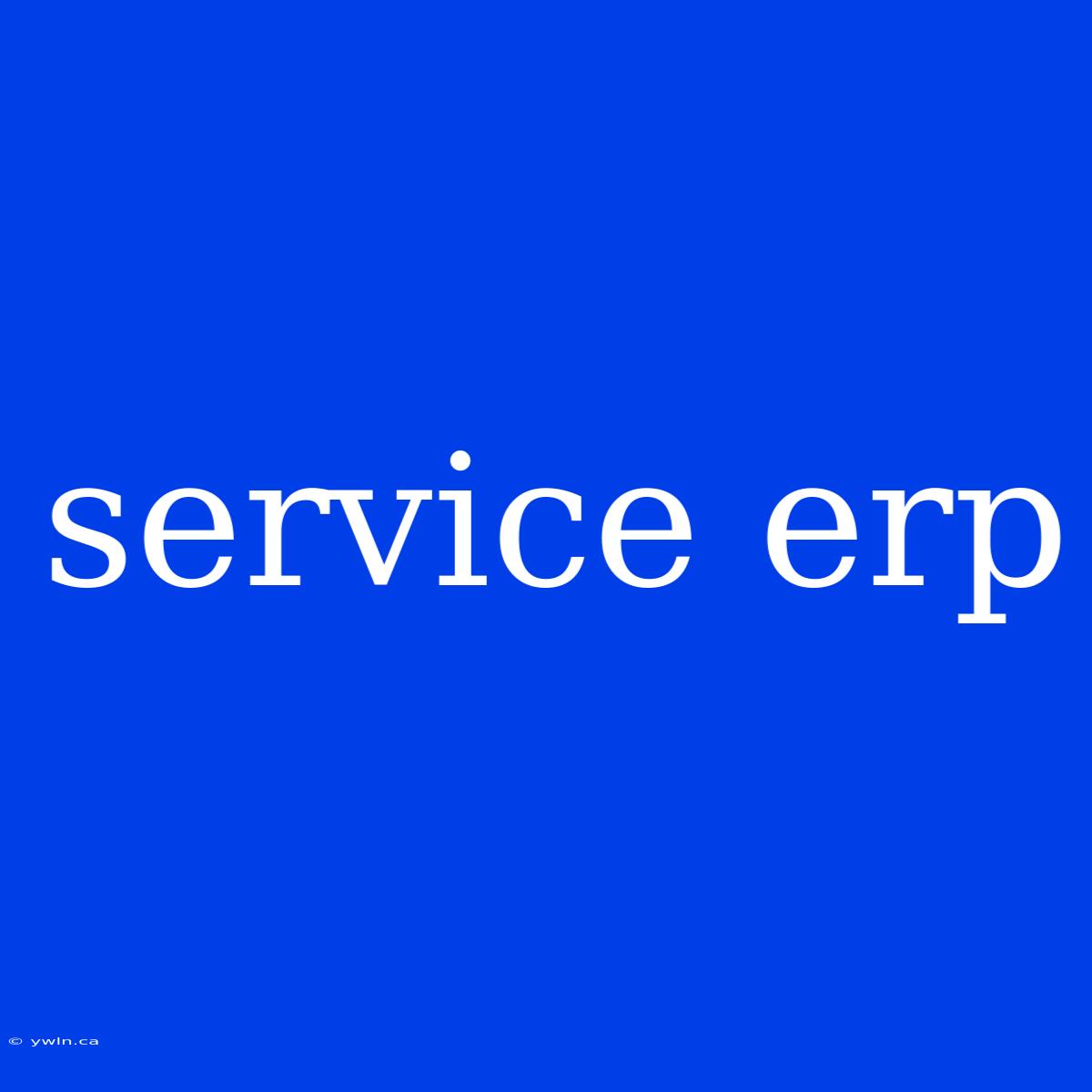 Service Erp