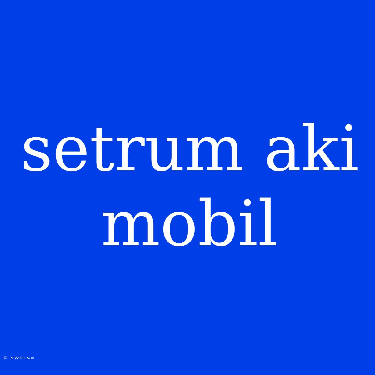 Setrum Aki Mobil