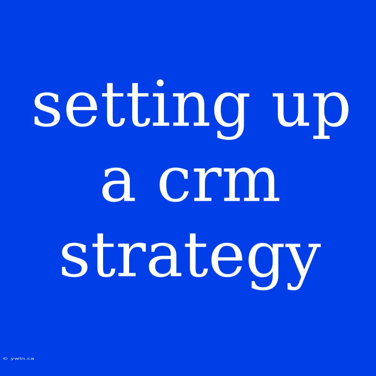 Setting Up A Crm Strategy