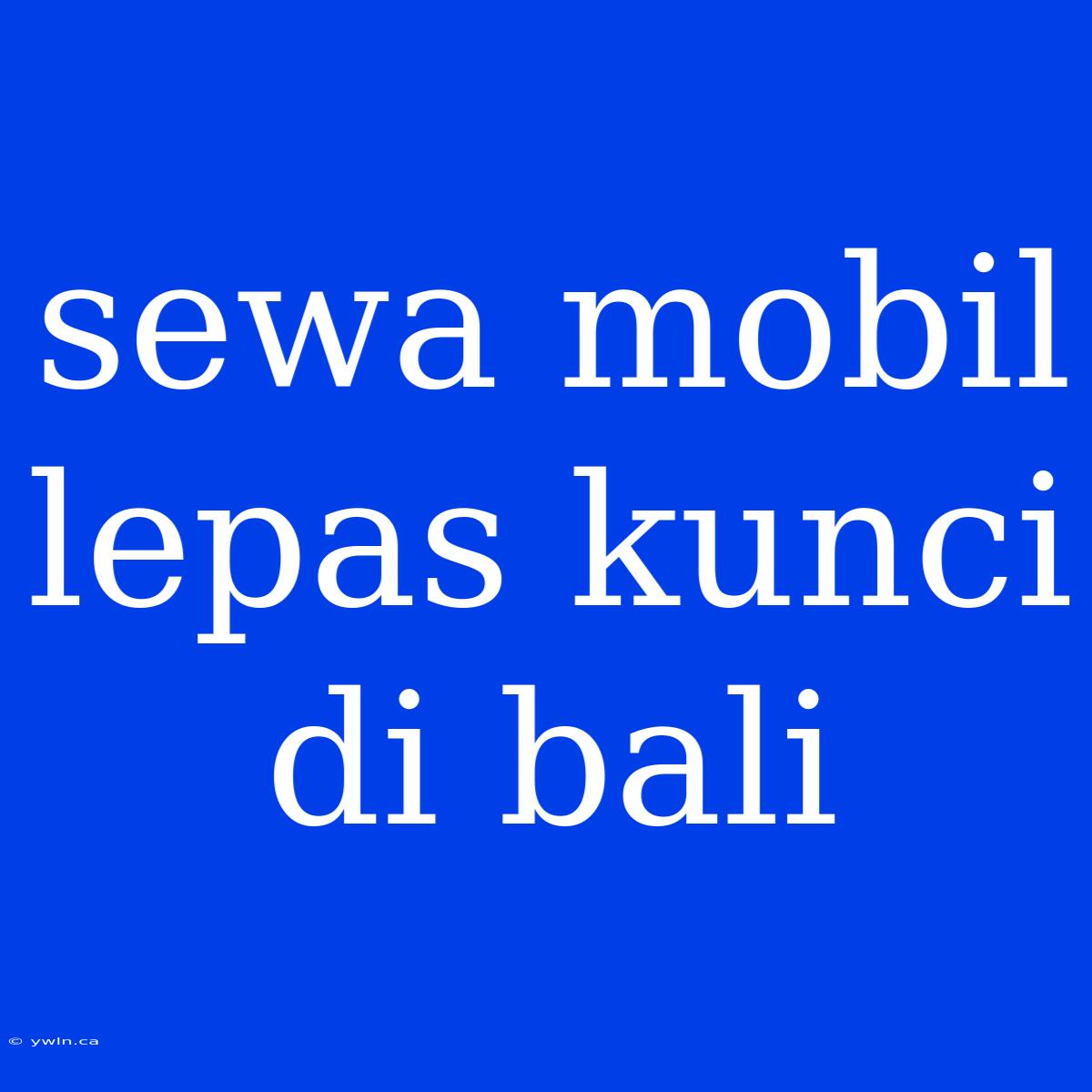 Sewa Mobil Lepas Kunci Di Bali